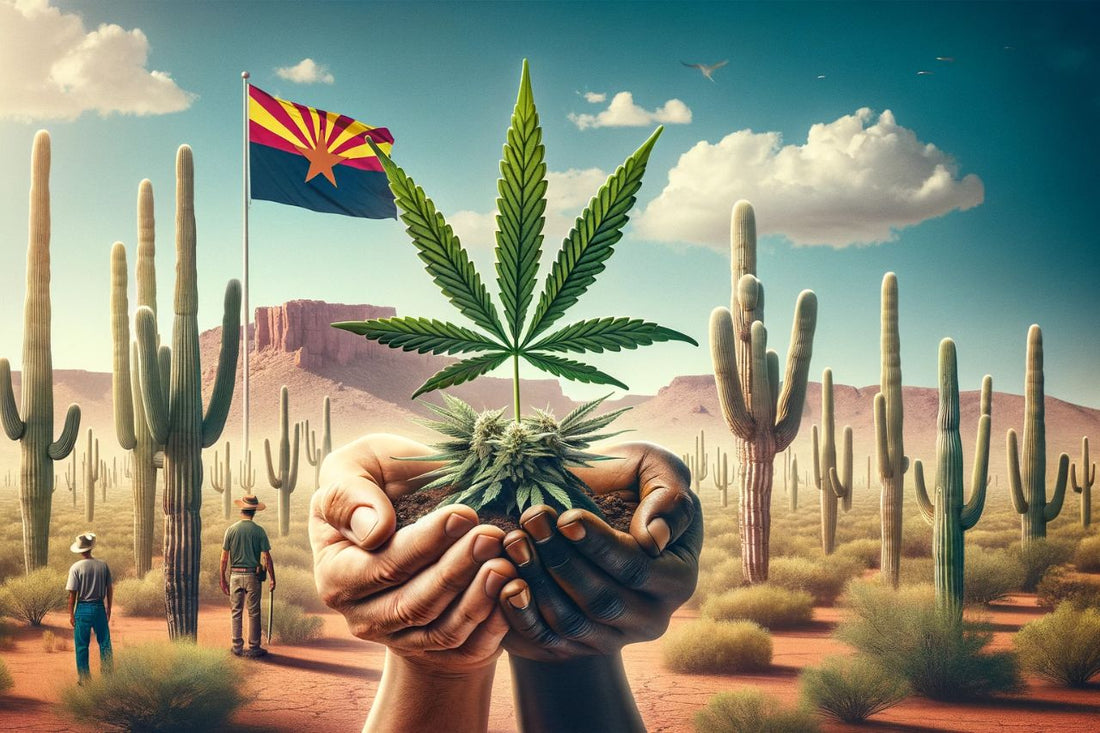 aavikko Arizonassa Yhdysvallat