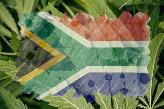 Afrikan lippu ja kannabiksen lehti