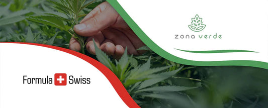 Formula Swiss ja Romanian johtava kannabisjälleenmyyjä
