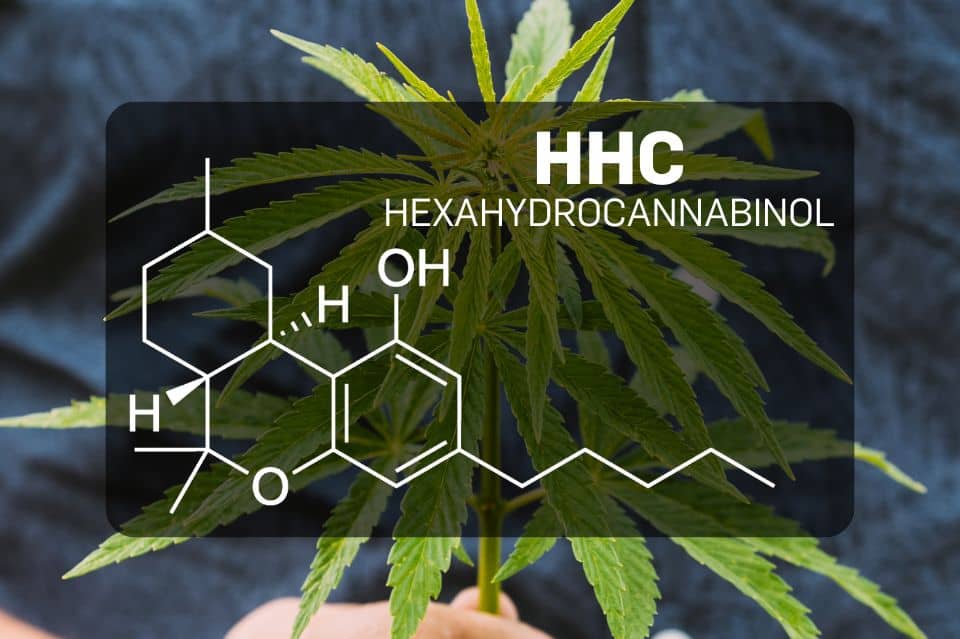 HHC:n (Heksahydrokannabinoli) kemiallinen rakenne
