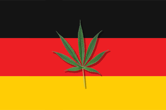 Kannabiksen laillistaminen Saksassa