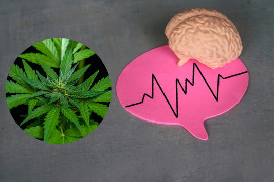 Kannabis neurologisten sairauksien hoidossa