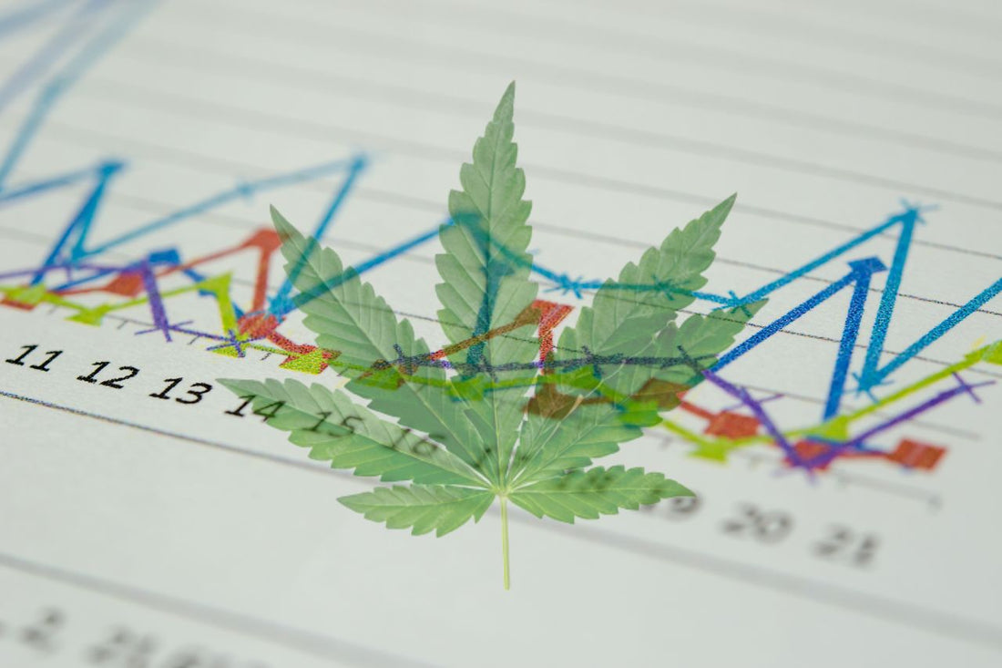 Lääkekannabiksen maailmanlaajuinen kehitys ja vaikutus