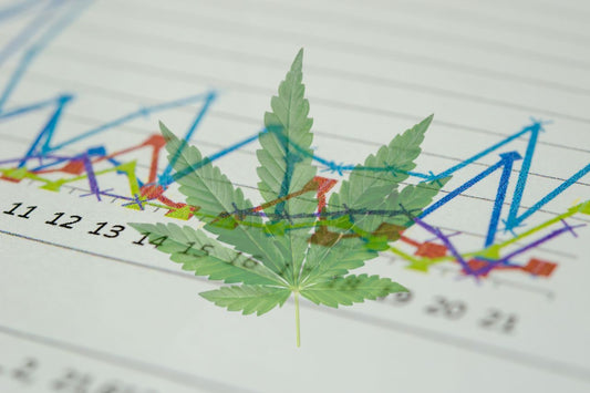 Lääkekannabiksen maailmanlaajuinen kehitys ja vaikutus
