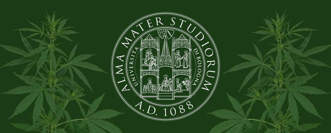 Tutkimusyhteistyö Bolognan yliopiston kanssa