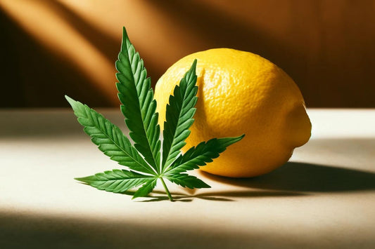 Sitruuna ja kannabiksen lehti