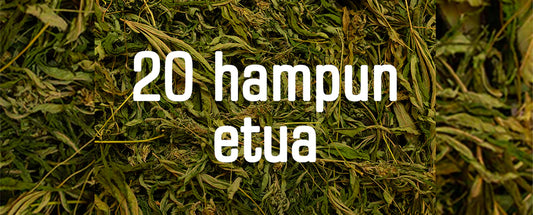 20 hampun hyötyä tutkimuksien mukaan