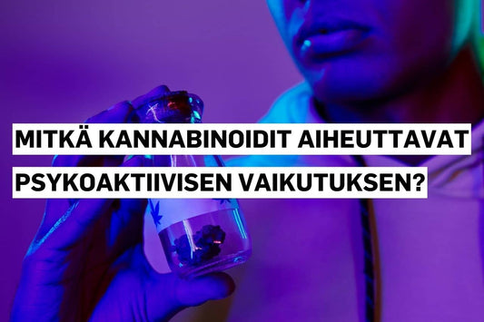 Mitkä kannabinoidit aiheuttavat psykoaktiivisen vaikutuksen?