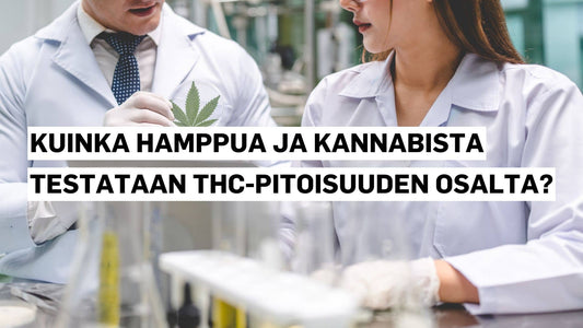Kuinka hamppua ja kannabista testataan THC-pitoisuuden osalta?