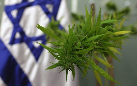 Uudet lääkekannabisasetukset Israelissa