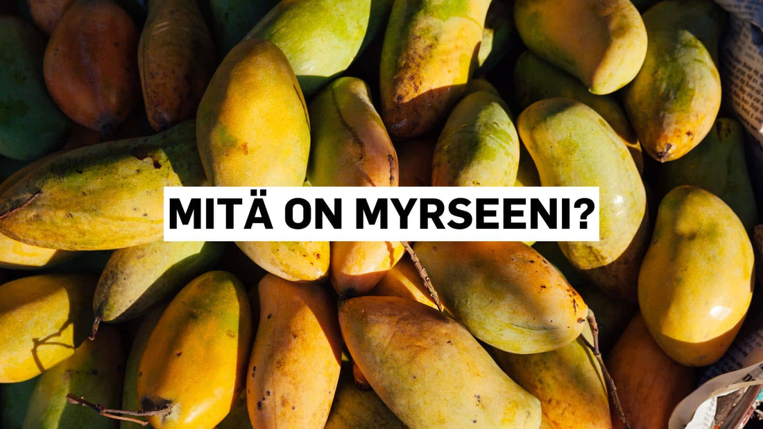 Mitä on myrseeni?