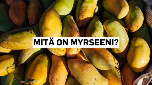 Mitä on myrseeni?