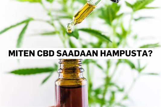 Miten CBD saadaan hampusta?