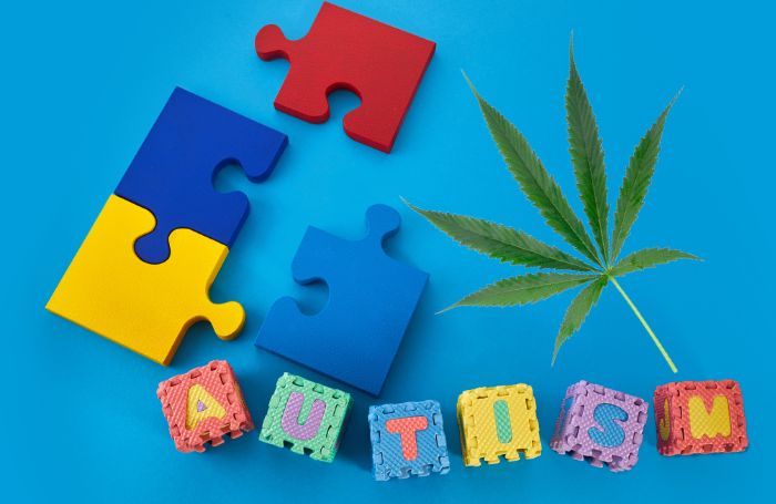 Autismia ja kannabiksen lehteä symboloiva palapeli