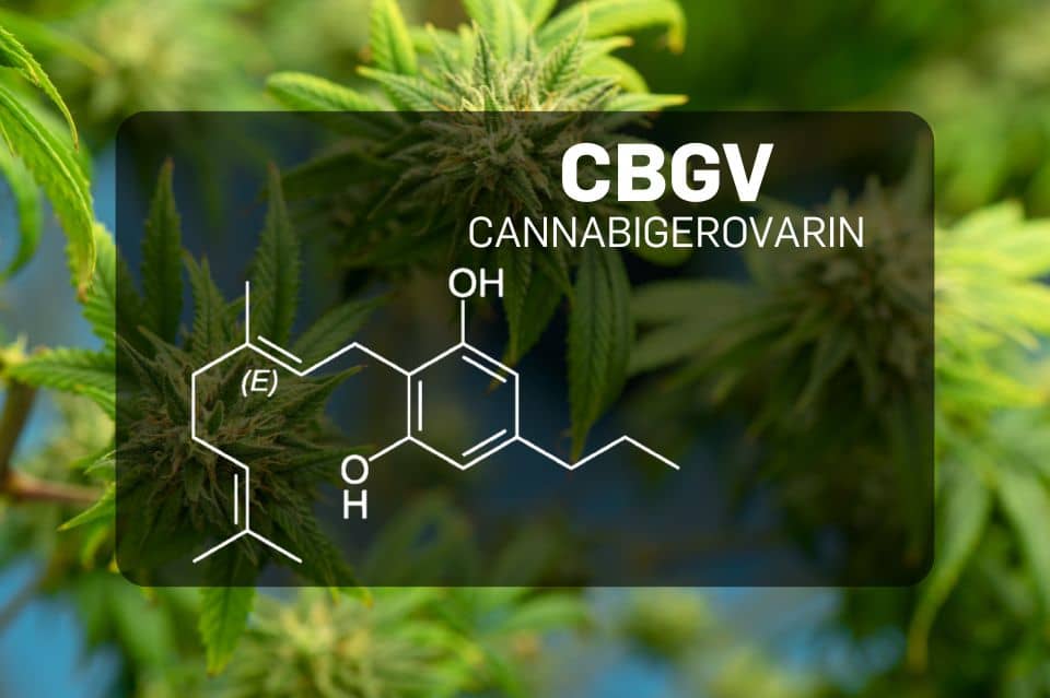 Cannabigerivarinin (CBGV) kemiallinen rakenne