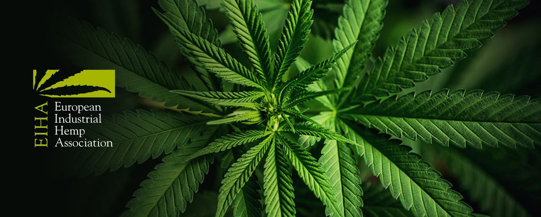 EU laillistaa luonnolliset kannabinoidit kosmetiikassa