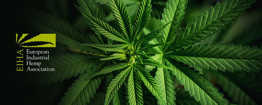 EU laillistaa luonnolliset kannabinoidit kosmetiikassa