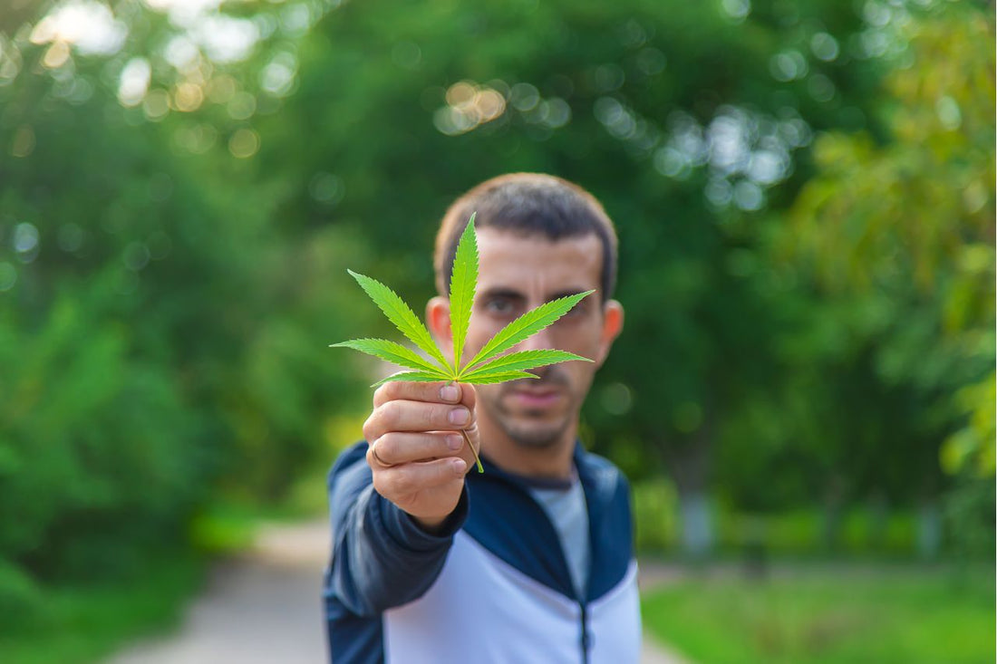 Israelin lääkekannabispolitiikka