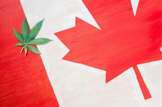 Kannabiksen lehti Kanadan lipussa