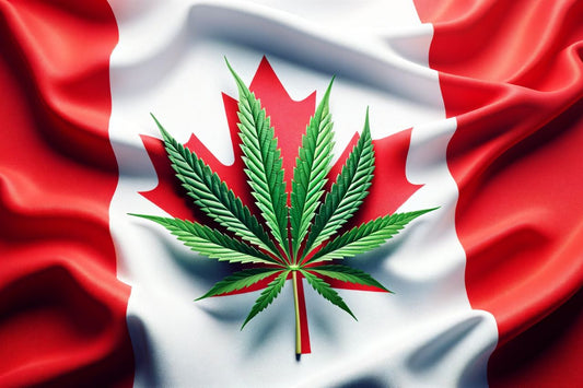 Kannabiksen lehti Kanadan lipun edessä