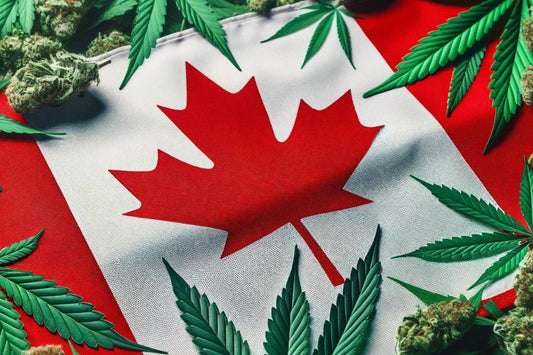Kanadan lippu ja kannabiksen lehdet