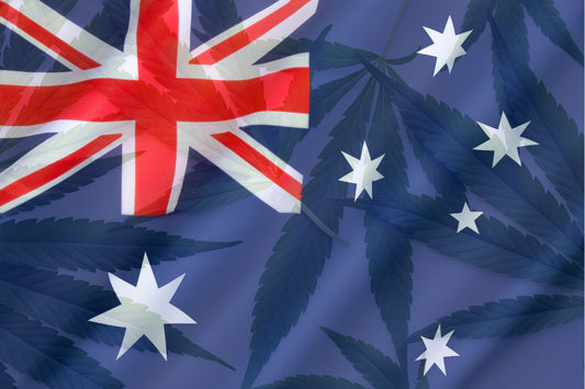 Australian lippu ja kannabiksen lehtiä
