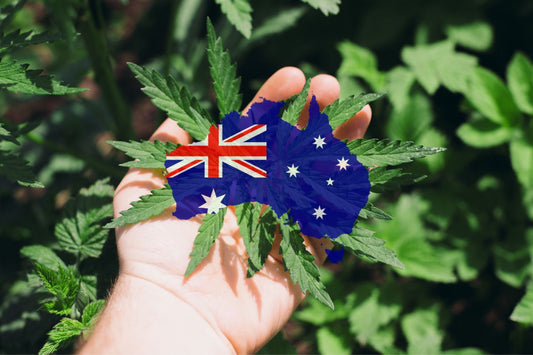 Kannabis Australiassa
