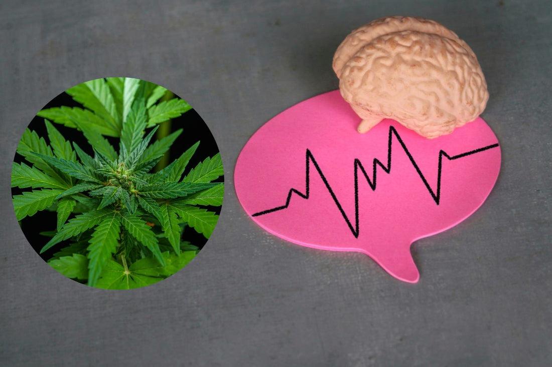 Kannabis neurologisten sairauksien hoidossa