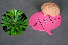 Kannabis neurologisten sairauksien hoidossa