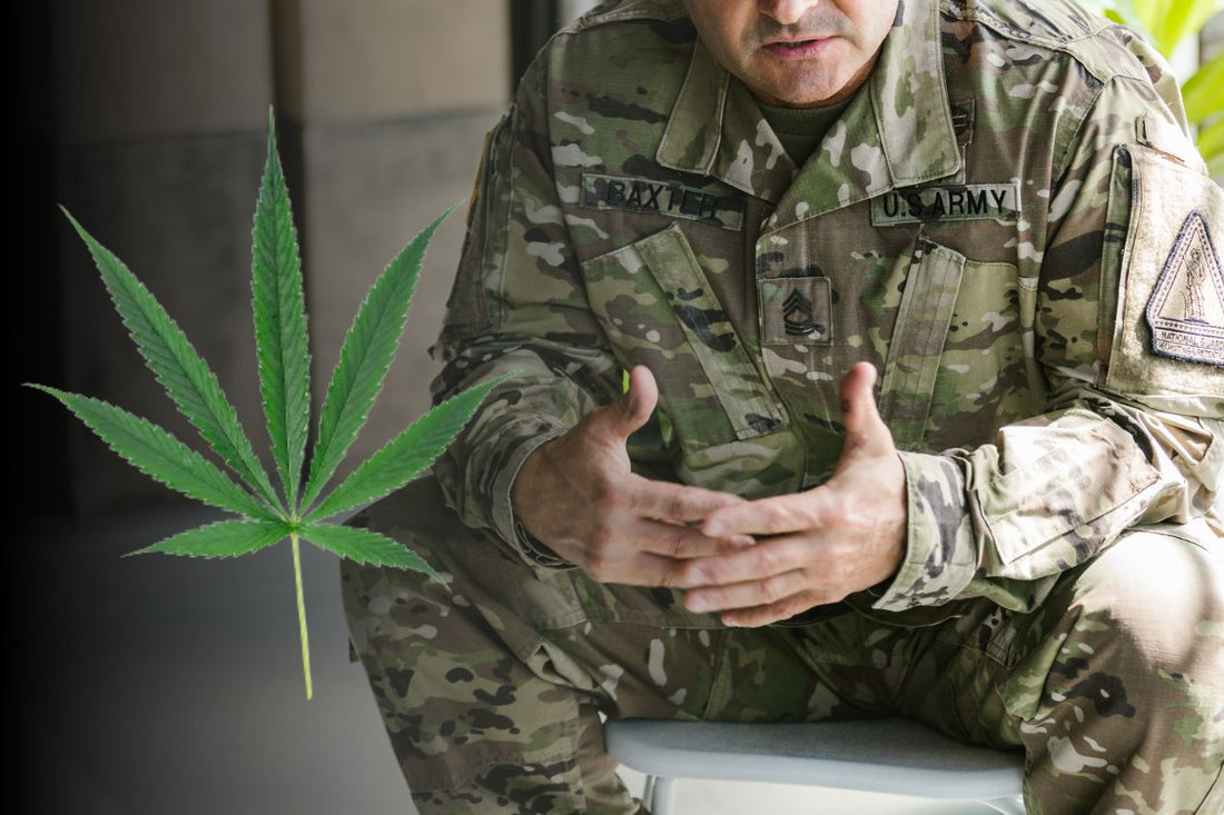 Kannabis parantaa veteraanien elämää