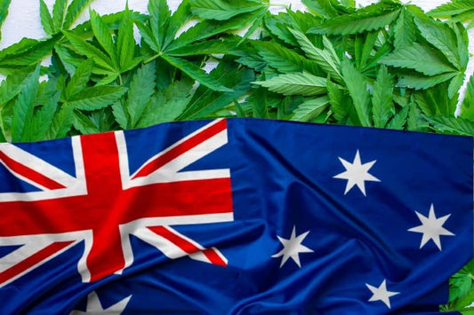 Kannabiksen lehdet ja Australian lippu