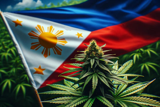 Kannabiskasvi ja Filippiinien lippu
