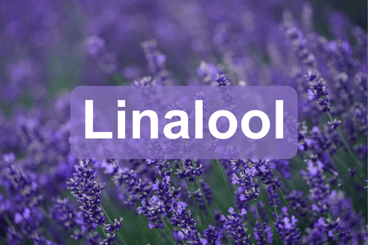 Linalool: Aromaattinen ja terapeuttinen terpeeni kannabiksessa