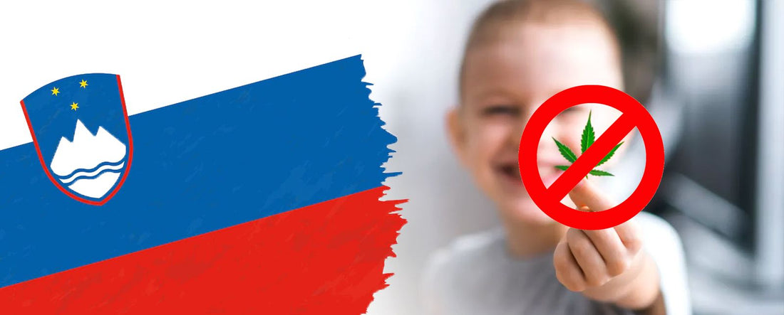 Slovenia kieltää CBD:n sen jälkeen, kun paikalliset tuottajat myrkyttivät lapsia