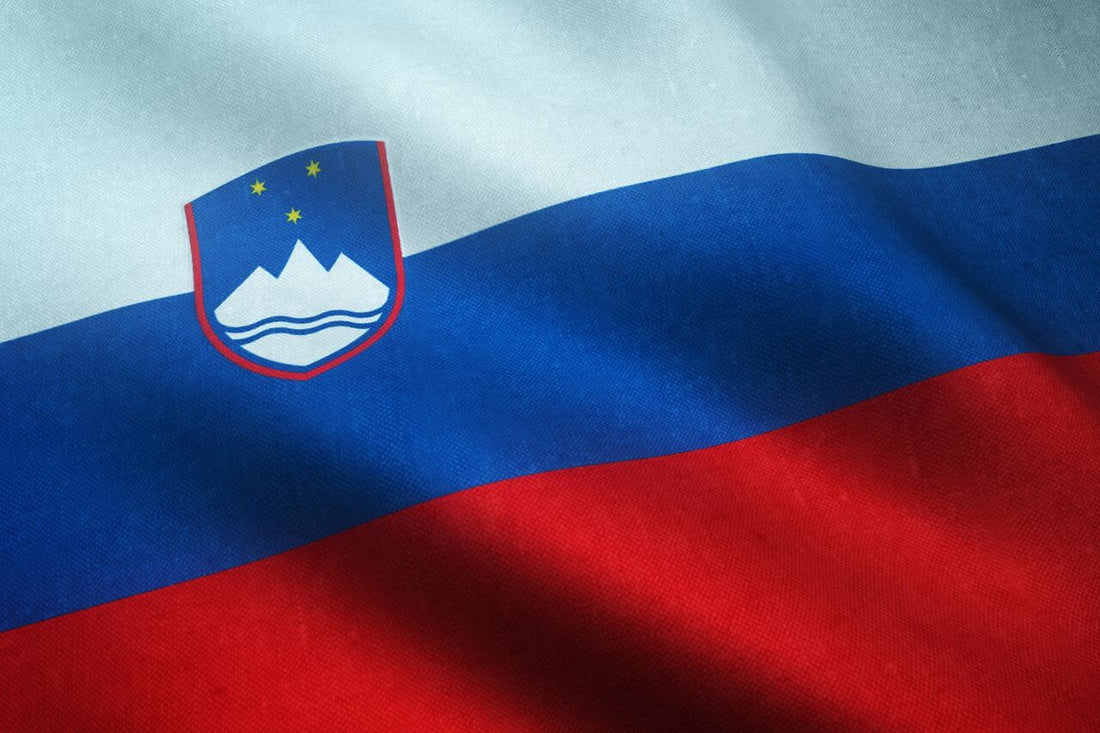 Slovenian lippu