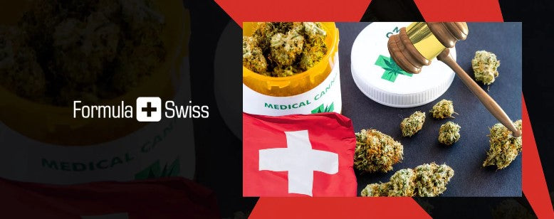 Sveitsi valmistelee lääkemarihuanan laillistamista