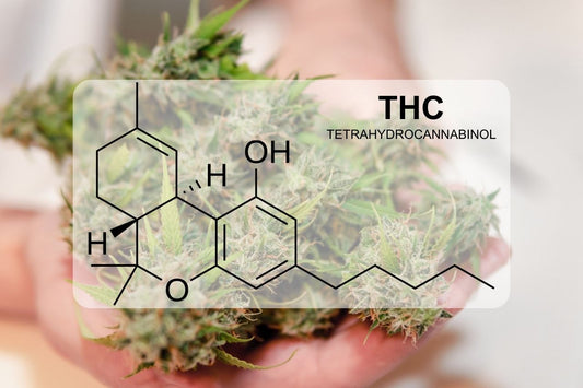 Mikä on THC (tetrahydrokannabinoli)?