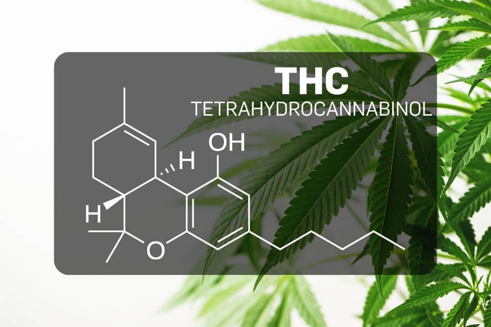 Mitä on THC (Tetrahydrokannabinoli)?