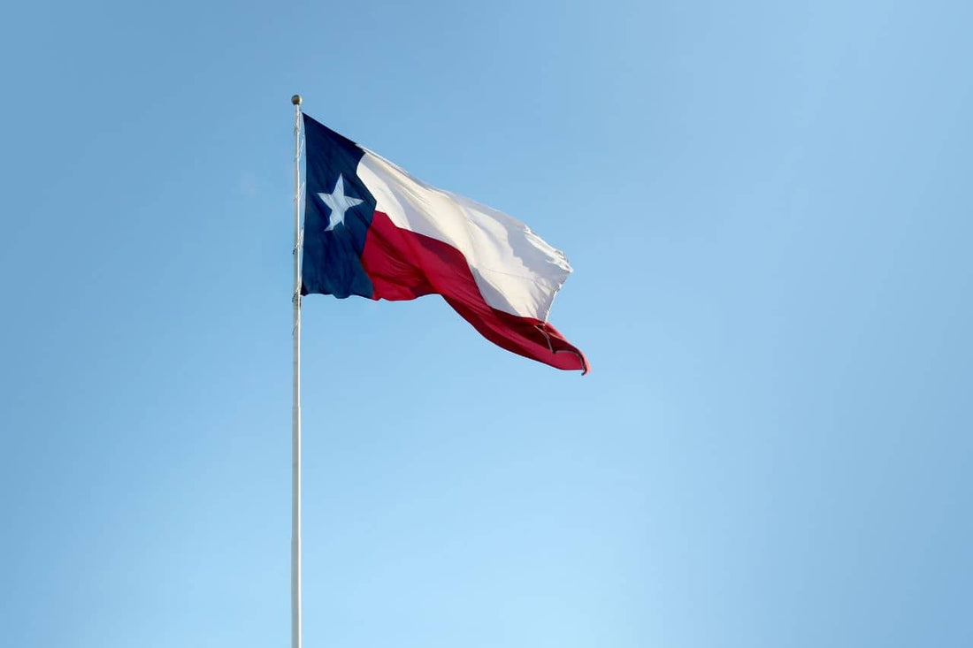 Texasin lippu liehumassa