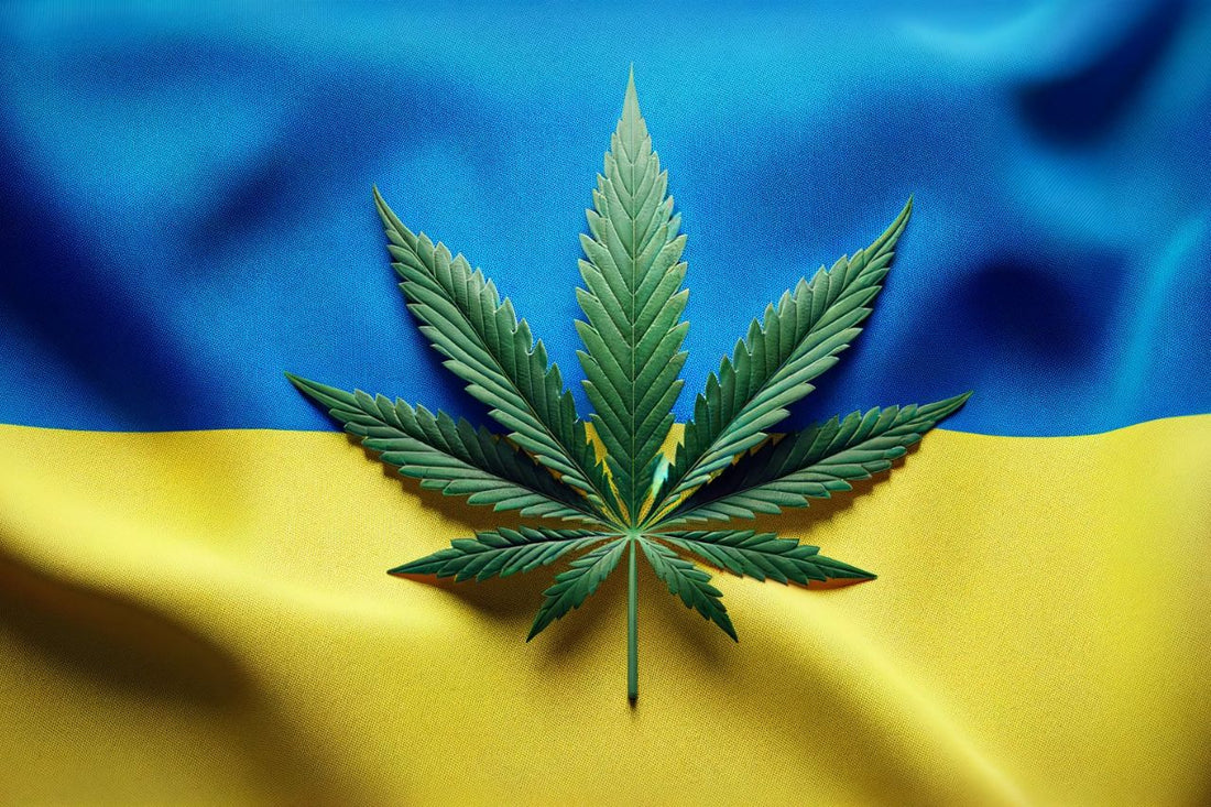 Ukrainan lippu ja kannabiksen lehti