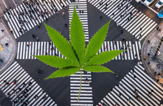 Ginza, Tokio. ja kannabiksen lehti.