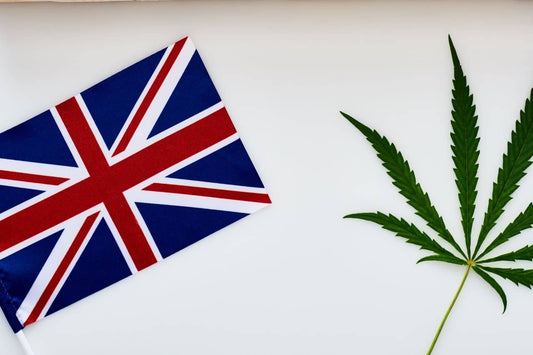 kannabislehti ja Iso-Britannian lippu