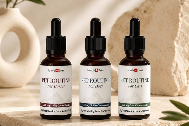 Formula Swiss Pet Routine -CBD-öljyt hevosille, koirille ja kissoille kivialustalla