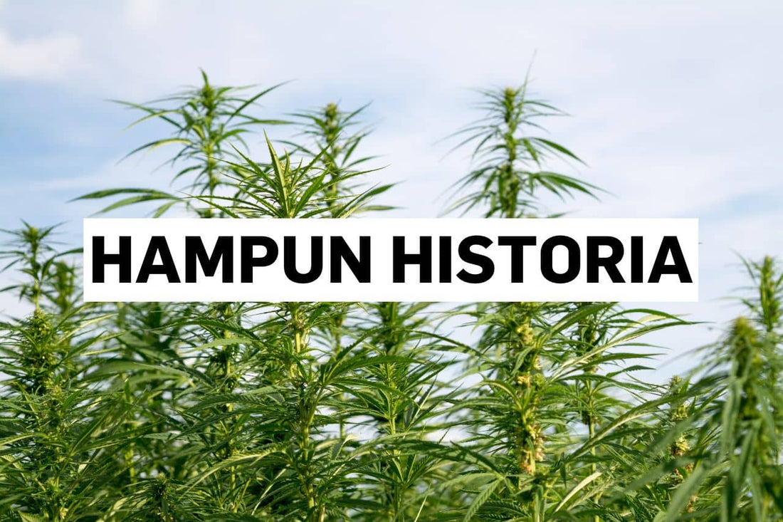 Hampun historia