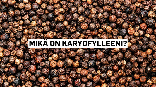 Mikä on karyofylleeni?