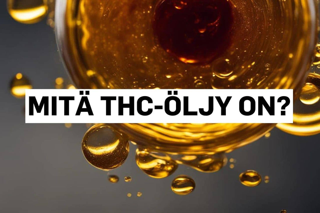 Mitä THC-öljy on?