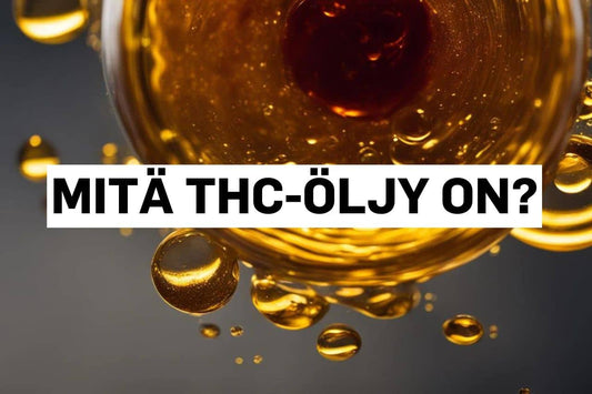 Mitä THC-öljy on?