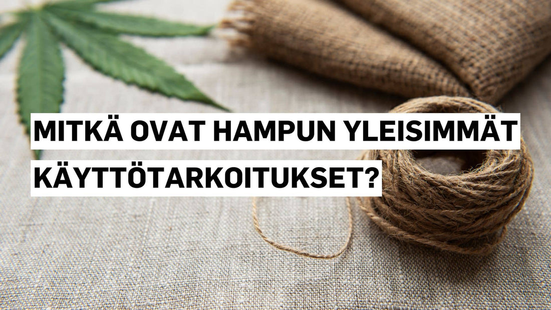 Hampputekstiili ja hamppukuitu