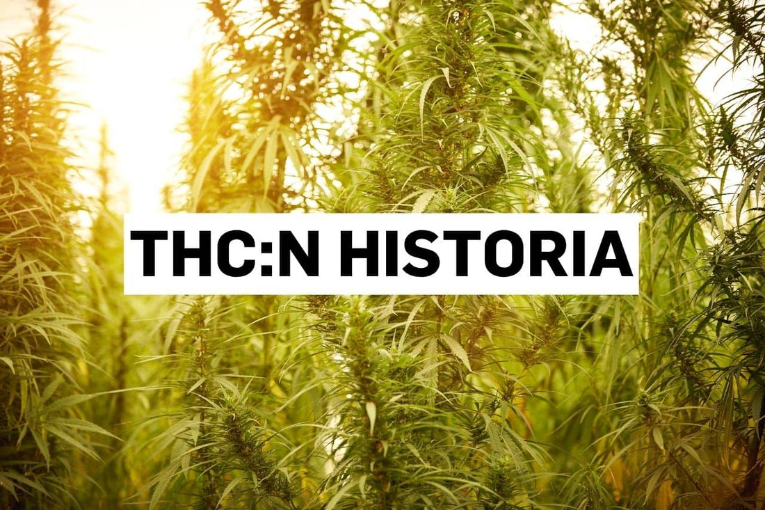 THC:n historia