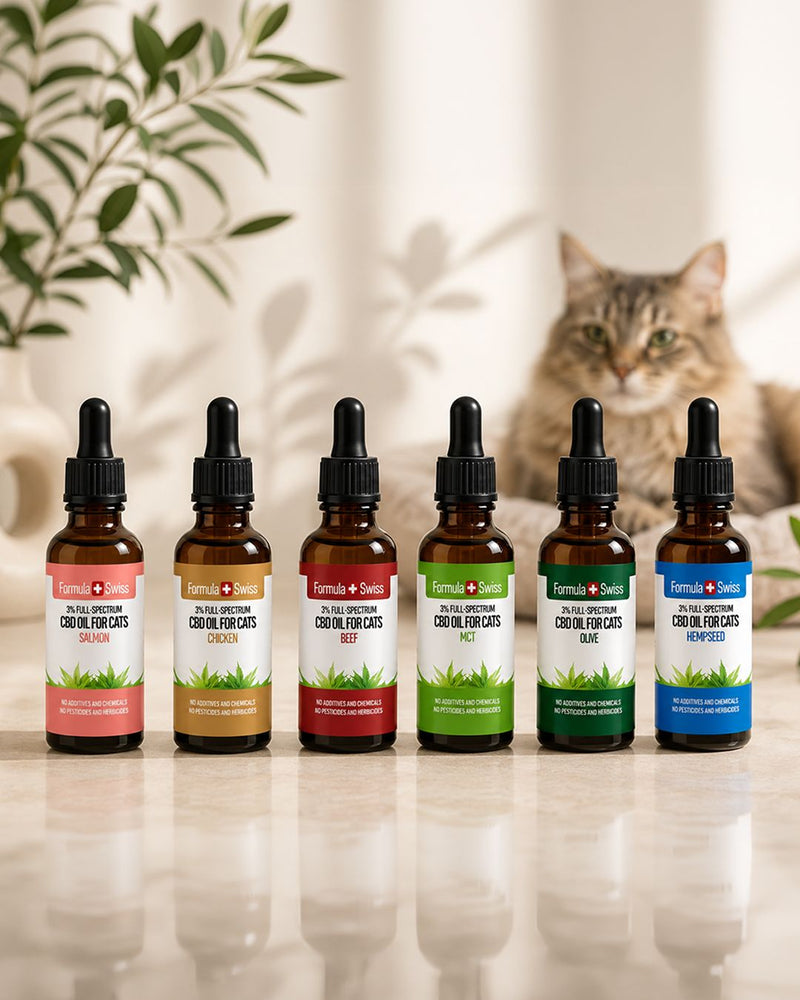 CBD-öljy kissaille